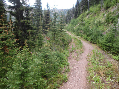 GDMBR: Single Track with an adjacent cliff (FR-4353, Richmond Peak, MT).